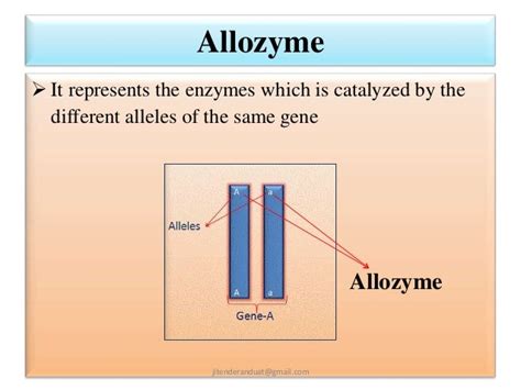 What are the differences between isozymes, allozymes and .